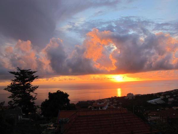 Вилла Madeira House Кальета Номер фото